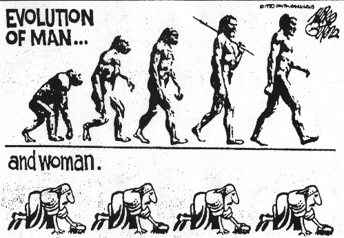 Evolution.jpg